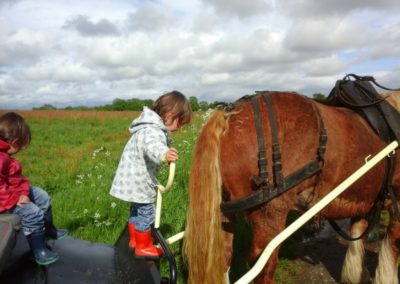 Les enfants et le cheval