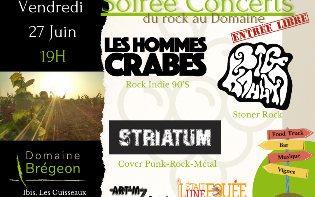Soirée concert