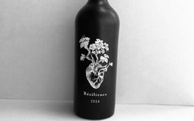 Résilience