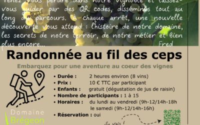 Randonnée interactive: Au fil des ceps